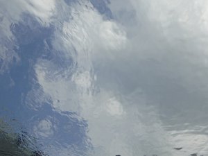なつやすみ - 画像4