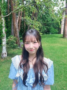 キンモクセイのサムネイル