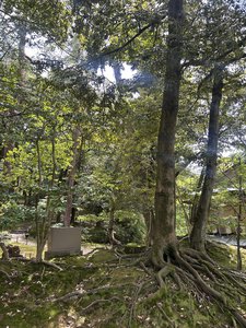 もどされ、すすみ、つなげられ、つづいてく - 画像11