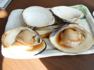 そしらぬ顔 - 画像8