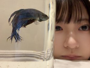 あの子の靴が濡れて乾いて、また、濡れる。正源司　陽子 - 画像6