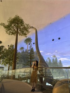 世を照らす陽の光 - 画像3