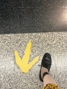 世を照らす陽の光 - 画像4