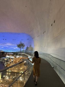 世を照らす陽の光 - 画像5
