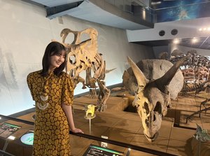 世を照らす陽の光 - 画像6