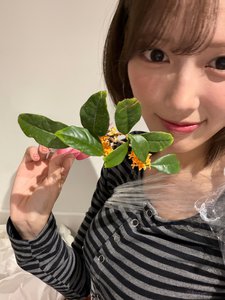 私のすべて - 画像4