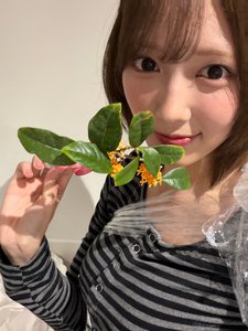 私のすべて - 画像5