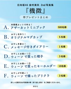 写真集まる分かりブログ📘 - 画像5