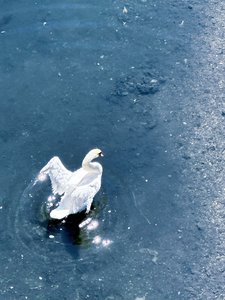写真集まる分かりブログ📘 - 画像6
