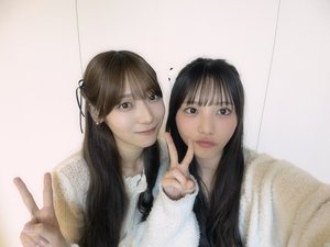 ピンクだにょーん - 画像3
