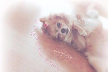 (_﹡ˆoˆ﹡_)♩...21 - 画像2