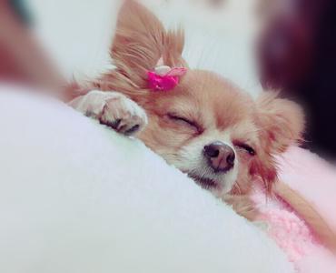 ティアラ♔...23 - 画像3