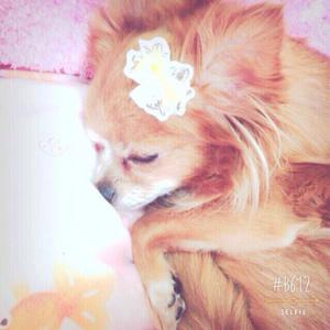 ティアラ♔...23 - 画像4