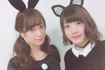 スズメって最近人を怖がらなくなりましたよね - 画像3