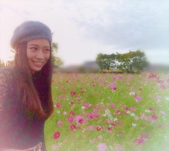 コスモス...41 - 画像2