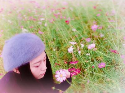 コスモス...41 - 画像4