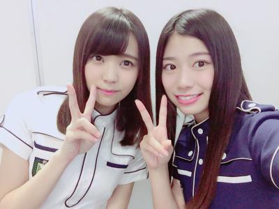 コスモス...41 - 画像6