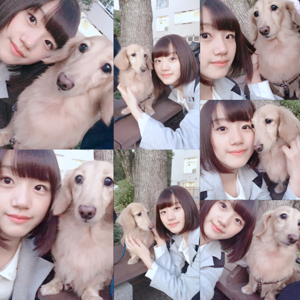 愛犬さん。 - 画像2