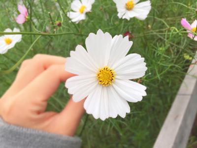 花言葉...48 - 画像3