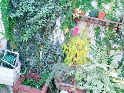 お大事に(＞人＜;) - 画像3