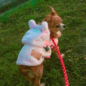 お散歩...75 - 画像2