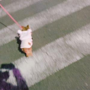 お散歩...75 - 画像5