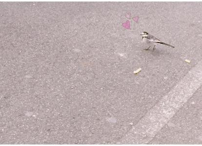 小鳥...96 - 画像2