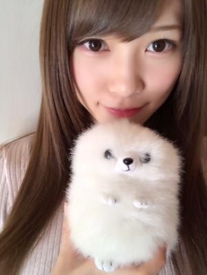 新しいペットだよ(・ω・) - 画像2