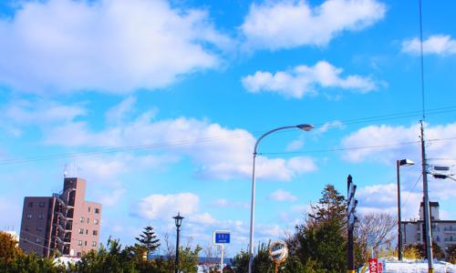 をりじなる - 画像3