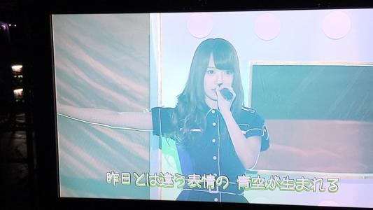 来年の若葉には何を想うだろう( ・ω・) - 画像2