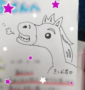 たくさん。 - 画像3