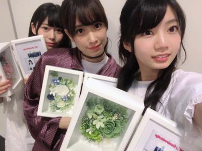 シースルー - 画像6