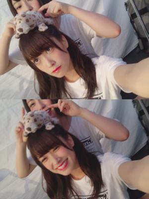 ソラマメ - 画像6