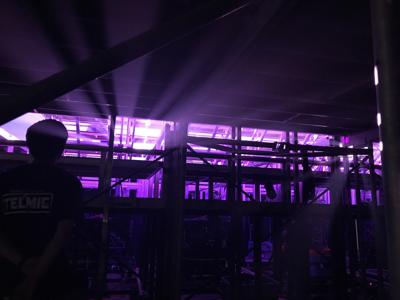 マジョリティ - 画像3