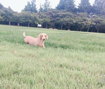 増員…♥ - 画像3