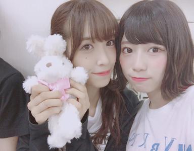 ぬいぐるみ - 画像3