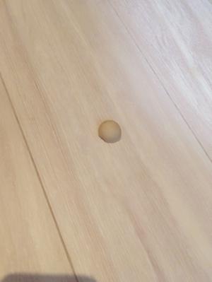 これなに？ - 画像2