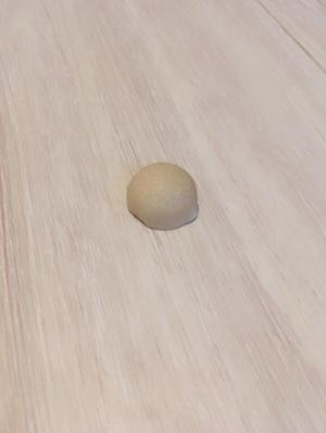 これなに？ - 画像3