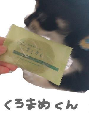 すごいこと( ・ω・) - 画像2