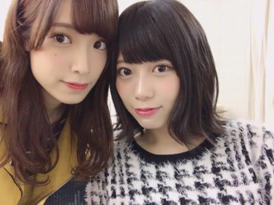 ケセランパサラン - 画像2