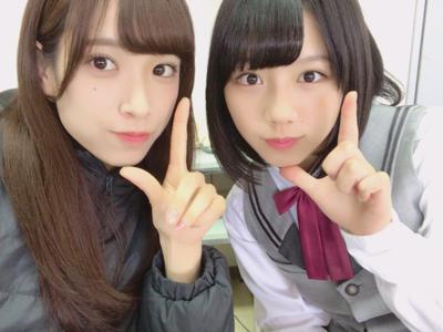 ケセランパサラン - 画像4