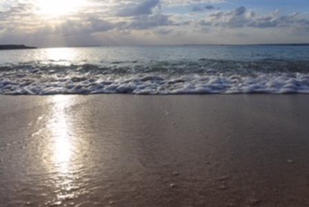 🇫🇷P☆富田鈴花 - 画像7