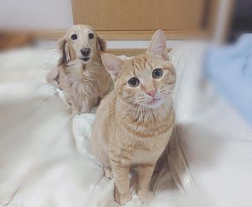 少しだけ大人になりました。 - 画像2