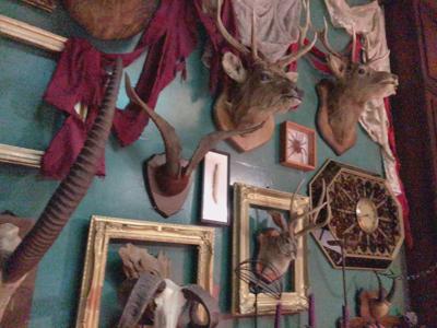 テストーーー！ - 画像4