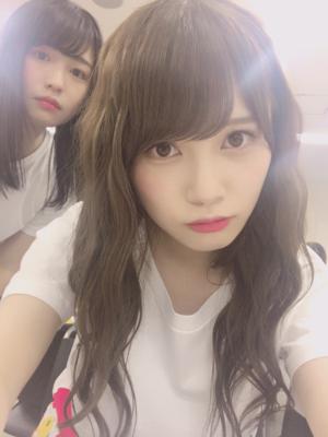 2017年、本当にありがとうございました(・ω・) - 画像3