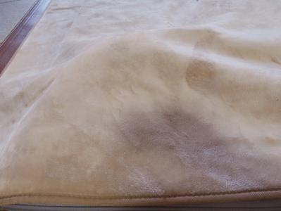 にゃ〜🐱 - 画像2