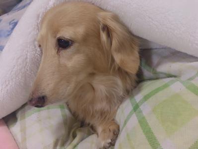 にゃ〜🐱 - 画像5