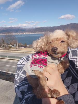 2018年ってもしかしてパリピの年じゃない？ワンチャンあるんじゃない？🐶❤︎ 富田鈴花 - 画像4