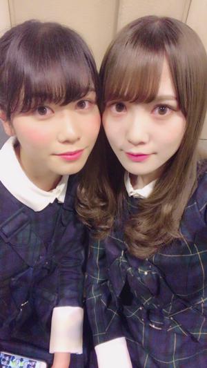 我の相方はにぶた( ・ω・) - 画像2