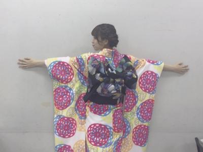 ハイビスカス - 画像2